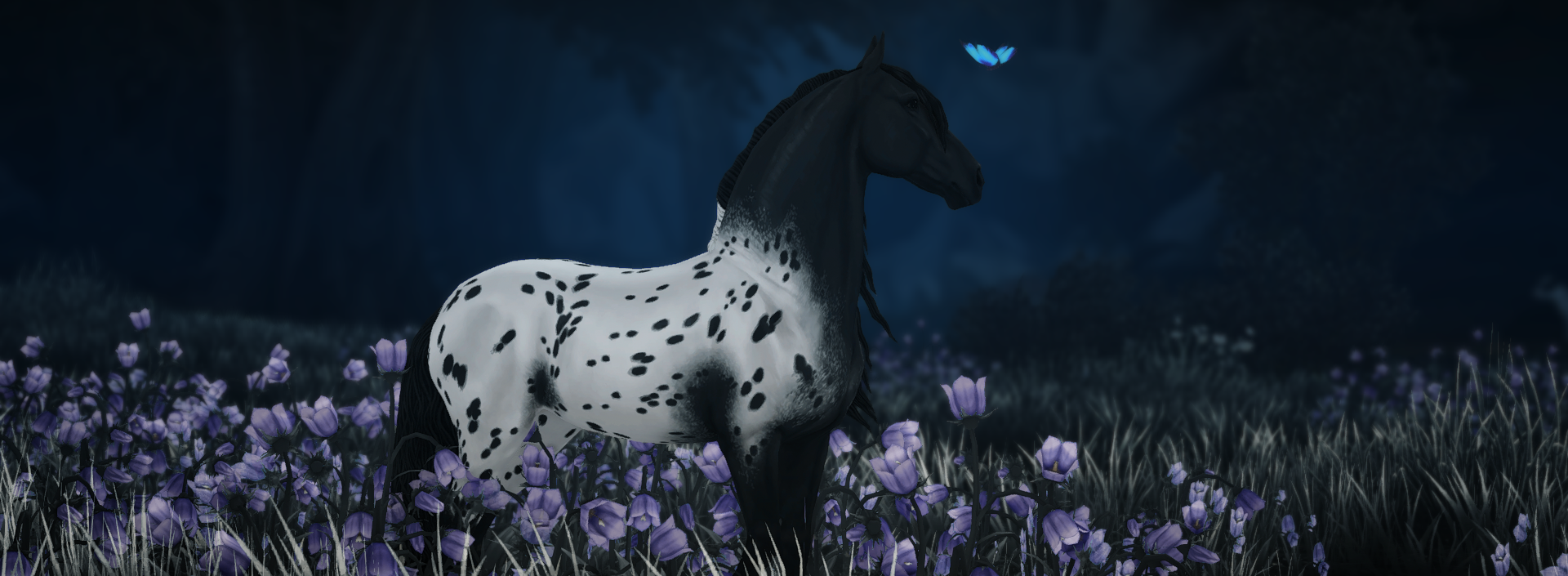 Star Stable klubb